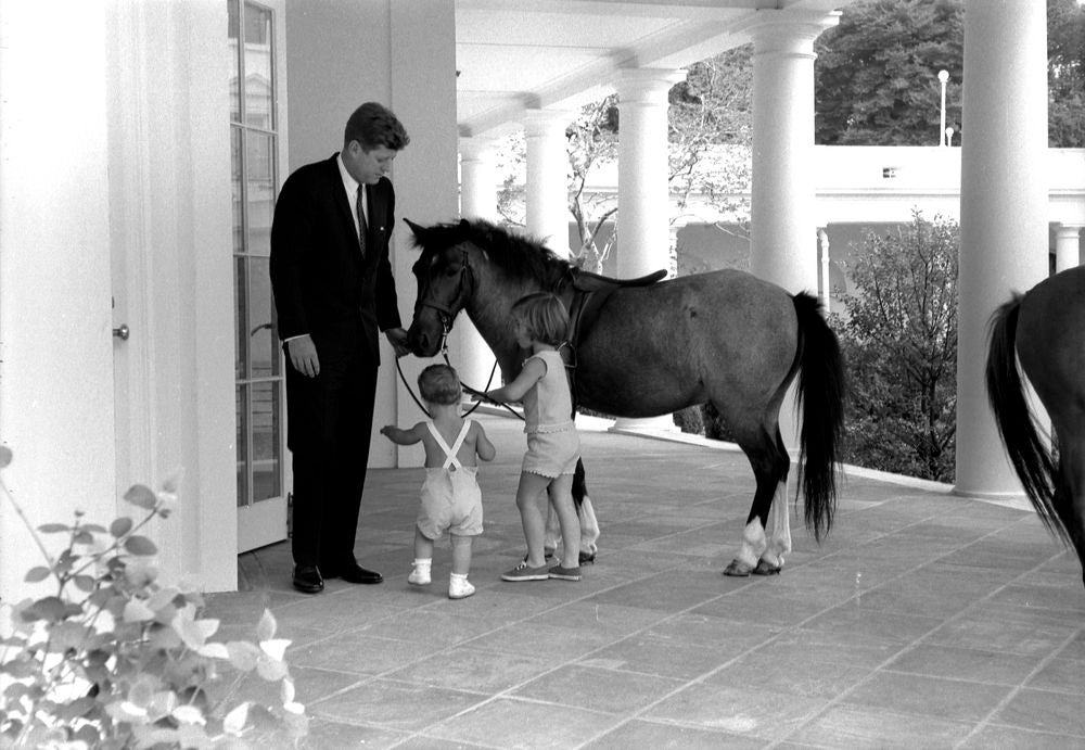Presidential Pets