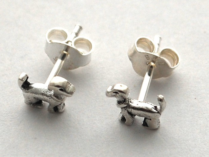 Obama's Bo Earrings